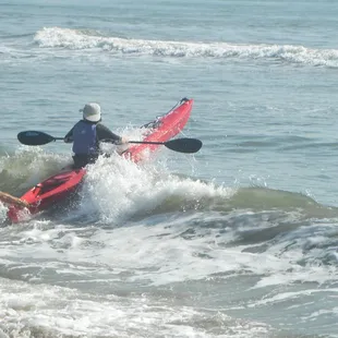 Kayaking with the Dolphins in Virginia Beach, Va.