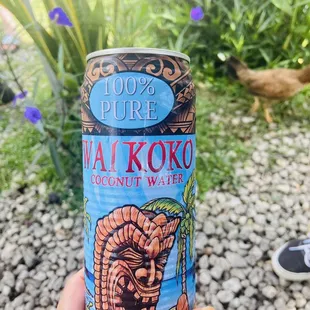 a hand holding a can of coconut water