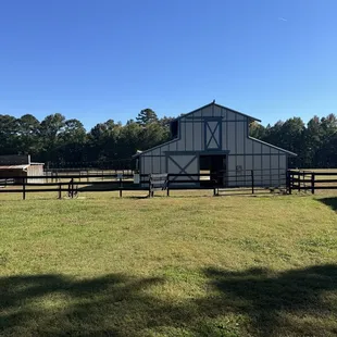 The stable with the horses