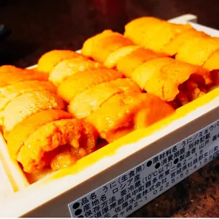 Hokkaido Uni
