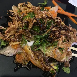Kaze Style Chef Special