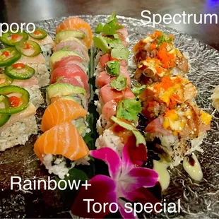 Our favorites in order: 1- Spectrum 2- Toro Special 3- Rainbow +, and 4- Sapporo