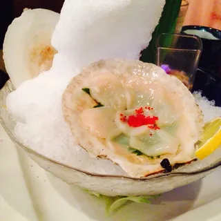 Scallop