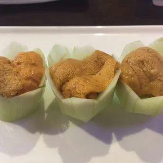 Sea Urchin