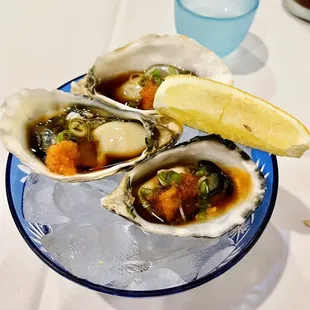 oysters and mussels, oysters, food, mussels, shellfish
