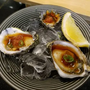 Kumamoto Oyster Shooters