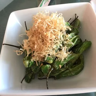Shishito Pepper