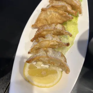 Gyoza Plate
