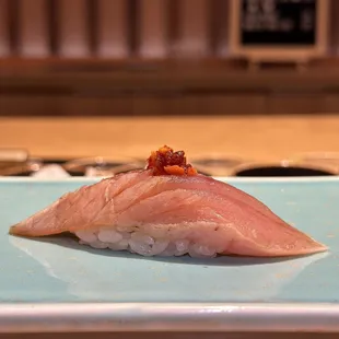shiro maguro