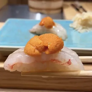 Botan ebi with hokkaido uni