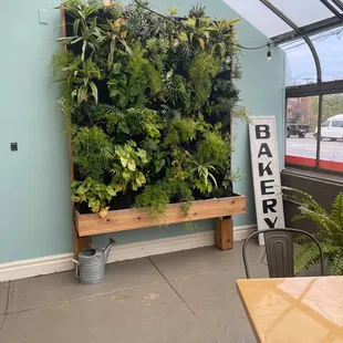 a bench with plants on it