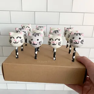 a hand holding a box of kitty cake pops