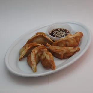 Gyoza (6)