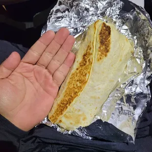 Size of carne asada burrito