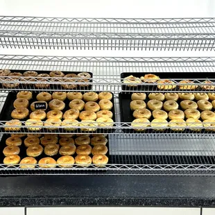 Pastry Case (3 of 3)