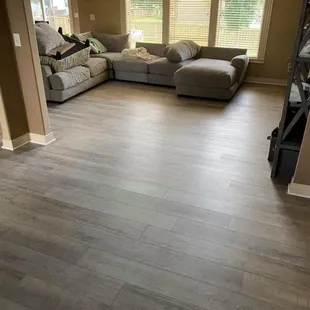 Happy Feet- Rescue Aspen!