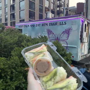 Avocado Spring Rolls