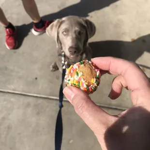 His 1st donut hole for having a good  walk.