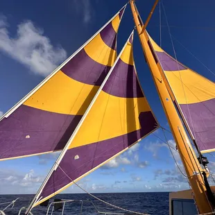 Ke Kai Catamaran
