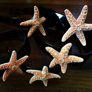 Starfish Heafbands
