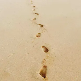 Follow my footsteps ~ no really. These are mine :D