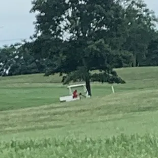 If you see an old man on a golf cart like this know that your day is about to get ruined. This place is not kid friendly!