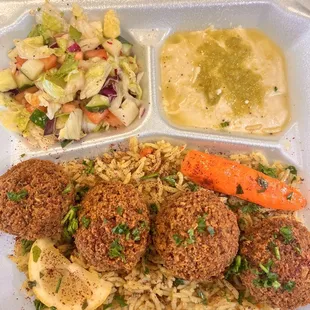 Falafel Platter
