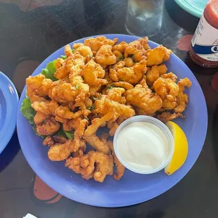 Conch Fritters