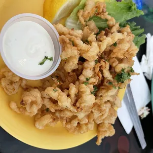 Cracked Conch