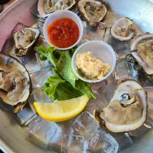 Raw Oysters