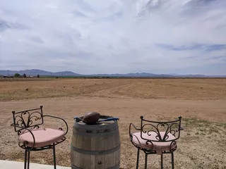 Birds And Barrels Vineyards