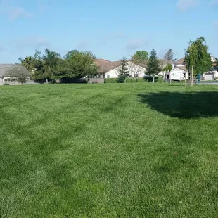 Open play area