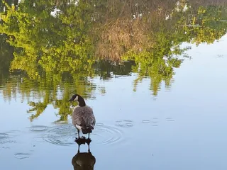 Jack E Hill Park