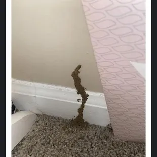 Keeneland Crest Apartments