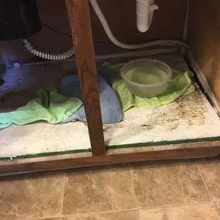 our sink has been leaking for the past three years.. mold and it stinks