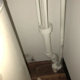Mold from water leak that they keep claiming they have fixed