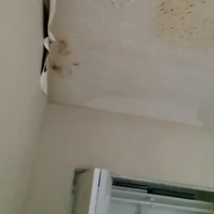 drywall was damaged from the mold, even this the landlord did not want to fix.  He said it was fine to continue living in the damaged unit