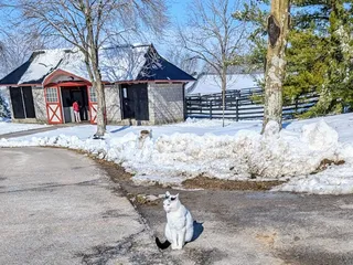 Taylor Made Farm