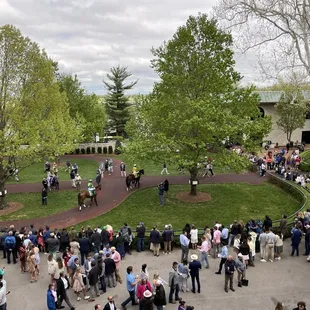 View from the Bluegrass Room