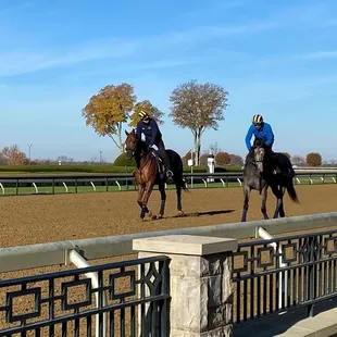 Keeneland Track