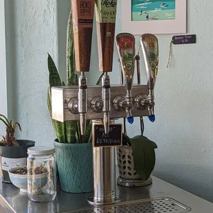 Cold brew and kombucha on tap
