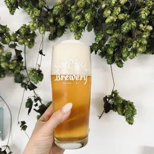 a hand holding a glass of beer