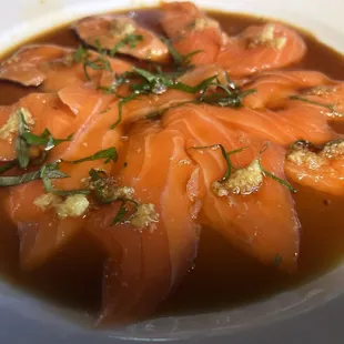 Tasmanian Sea Trout