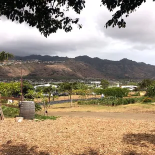 The place