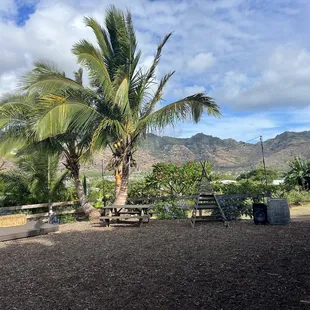 Picnic area
