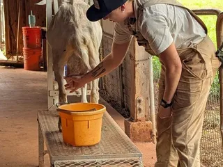Sweet Land Farm