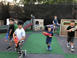 Pups of War Arena