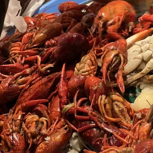 FRESH boiled crawfish