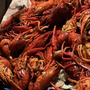 a large pile of lobsters