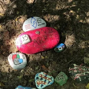 #BarbieRocks along the trail